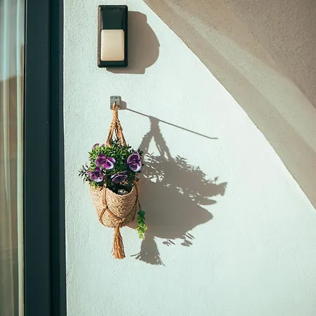 公寓 Jasmin 8 2+1 New! *