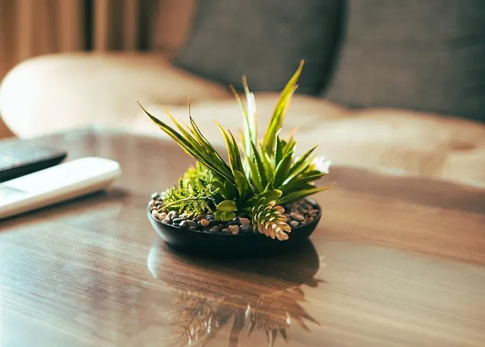 Διαμέρισμα Jasmin 8 2+1 New! Αλάνια